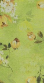 Dhanak - Unstitched 2pcs - D02